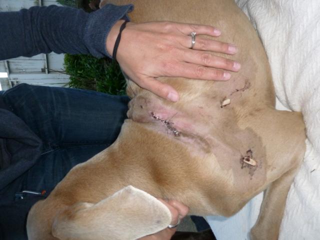 Hero Injuries4